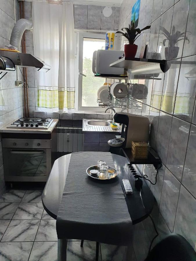 Apartament Cu Regim Hotelier In Dr.Tr. Severin Дробета-Турну-Северин Екстер'єр фото